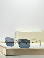 Cartier Sunglasses AAA (355)
