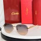 Cartier Sunglasses AAA (2878)
