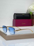 Cartier Sunglasses AAA (1199)