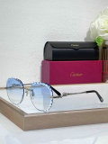 Cartier Sunglasses AAA (1225)