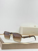 Cartier Sunglasses AAA (36)