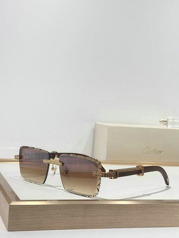 Cartier Sunglasses AAA (36)