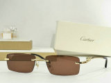 Cartier Sunglasses AAA (248)
