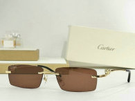 Cartier Sunglasses AAA (248)