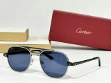 Cartier Sunglasses AAA (1069)