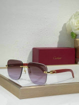 Cartier Sunglasses AAA (631) Cartier Sunglasses AAA (631)