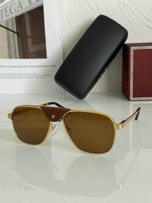 Cartier Sunglasses AAA (274)