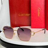 Cartier Sunglasses AAA (825)