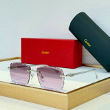 Cartier Sunglasses AAA (818)