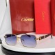 Cartier Sunglasses AAA (3032)