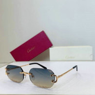 Cartier Sunglasses AAA (50)