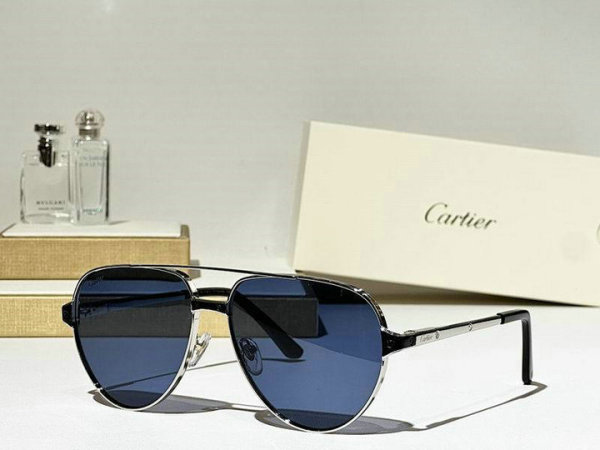 Cartier Sunglasses AAA (676)