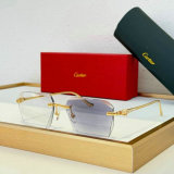 Cartier Sunglasses AAA (793)