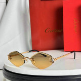 Cartier Sunglasses AAA (205)