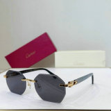 Cartier Sunglasses AAA (181)