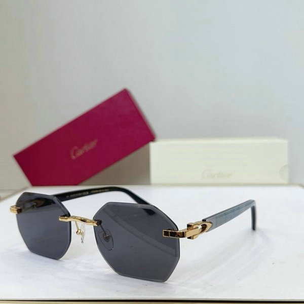 Cartier Sunglasses AAA (181)