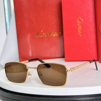 Cartier Sunglasses AAA (808) Cartier Sunglasses AAA (808)
