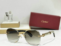 Cartier Sunglasses AAA (861) Cartier Sunglasses AAA (861)