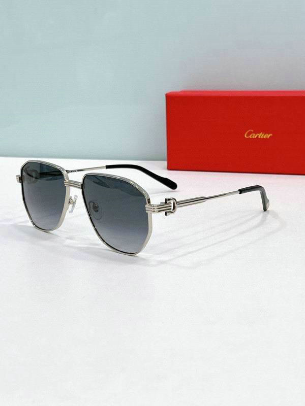 Cartier Sunglasses AAA (974)