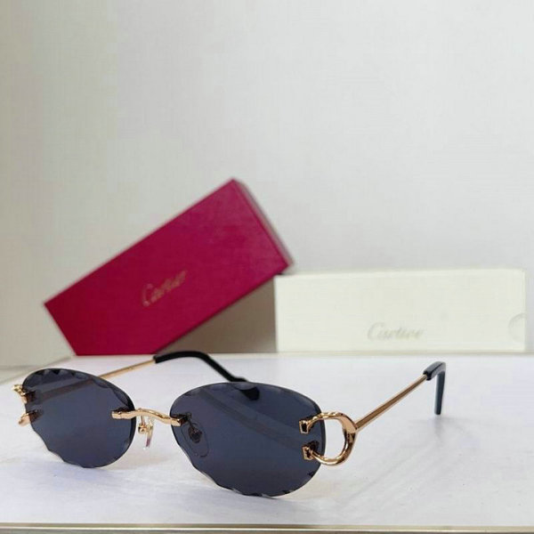 Cartier Sunglasses AAA (38)