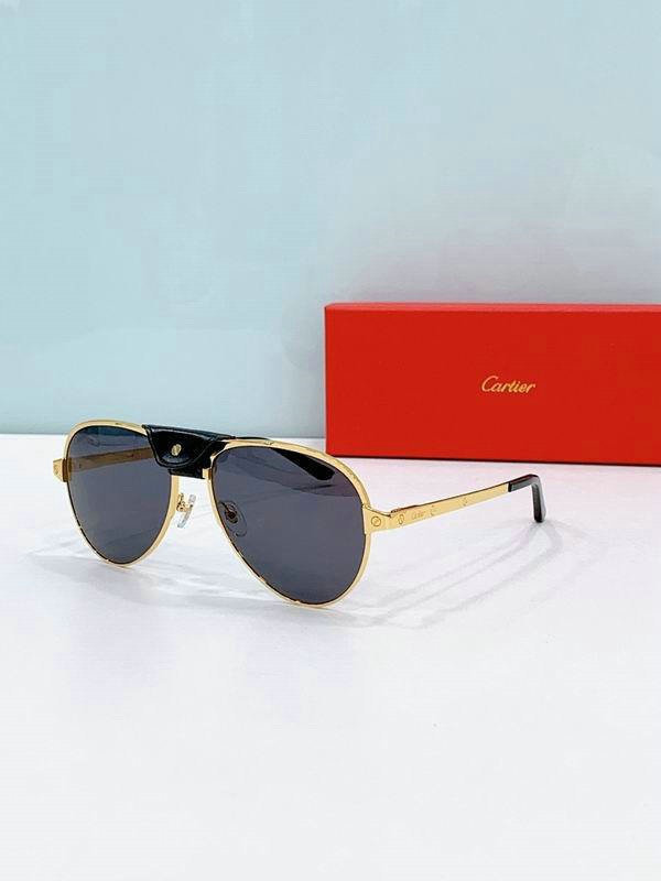 Cartier Sunglasses AAA (374)