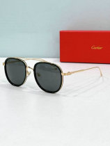 Cartier Sunglasses AAA (1163) Cartier Sunglasses AAA (1163)