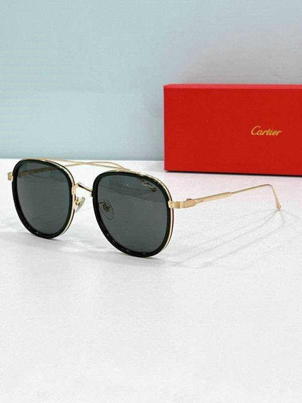 Cartier Sunglasses AAA (1163)