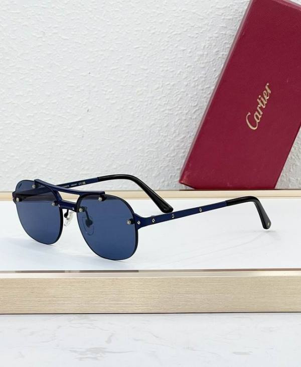 Cartier Sunglasses AAA (1979)