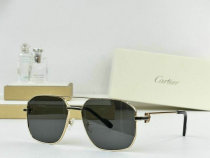 Cartier Sunglasses AAA (699) Cartier Sunglasses AAA (699)