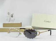 Cartier Sunglasses AAA (3635)
