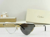 Cartier Sunglasses AAA (105)