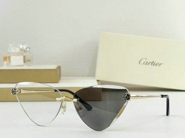 Cartier Sunglasses AAA (105)