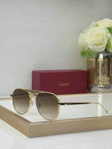 Cartier Sunglasses AAA (647) Cartier Sunglasses AAA (647)