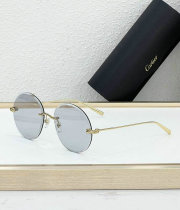 Cartier Sunglasses AAA (564) Cartier Sunglasses AAA (564)