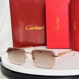 Cartier Sunglasses AAA (2883)