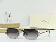 Cartier Sunglasses AAA (3648)