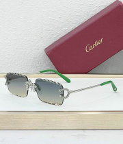 Cartier Sunglasses AAA (553) Cartier Sunglasses AAA (553)