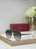 Cartier Sunglasses AAA (652)