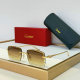 Cartier Sunglasses AAA (739)