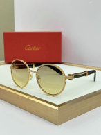 Cartier Sunglasses AAA (193)