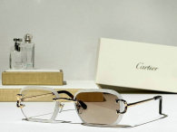 Cartier Sunglasses AAA (688)