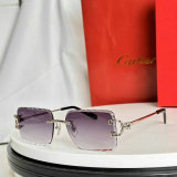Cartier Sunglasses AAA (214)