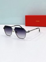Cartier Sunglasses AAA (2869) Cartier Sunglasses AAA (2869)