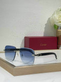 Cartier Sunglasses AAA (633)