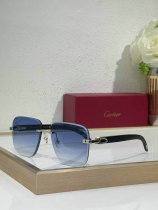 Cartier Sunglasses AAA (633) Cartier Sunglasses AAA (633)