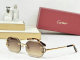 Cartier Sunglasses AAA (1079)