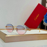 Cartier Sunglasses AAA (1670)