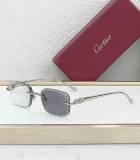 Cartier Sunglasses AAA (1892)