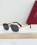 Cartier Sunglasses AAA (1974)