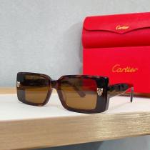 Cartier Sunglasses AAA (1963) Cartier Sunglasses AAA (1963)